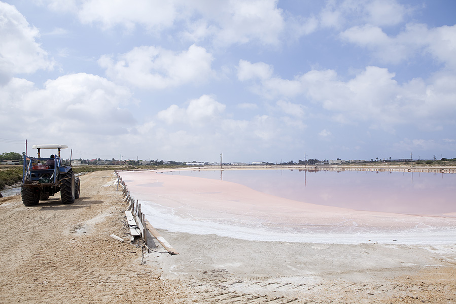 salt of the earth - salt field