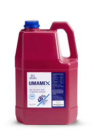 UMAMIX salt