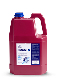 UMAMIX salt